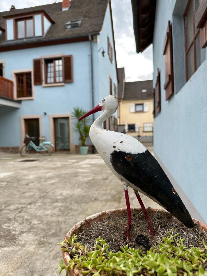 Charmant Et Chaleureux Gite Dans Le Vignoble Sigolsheim Exterior foto